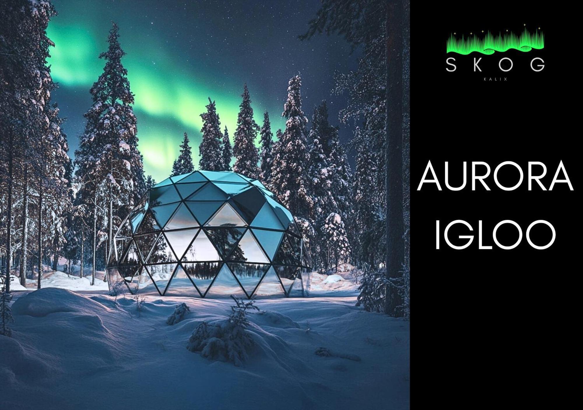 Skog Aurora Igloos Villa Kalix Exterior photo